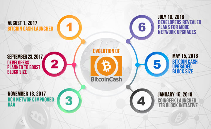 Evolution of Bitcoin Cash: 6 Major Developments in First 12 Months